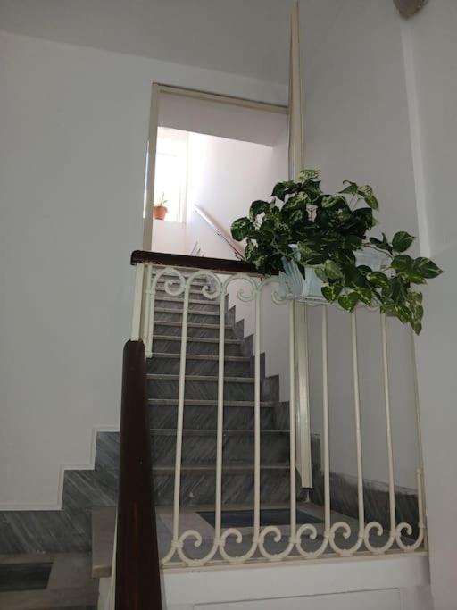 Lusiana Apartment Syrakusa Exteriör bild
